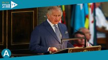 Charles III : cette facture déconcertante que son frère Andrew voulait lui faire régler