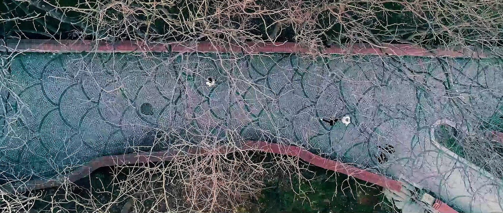 Ziynet Sali - Efkarım Var - I am sad - Turkish Music