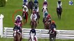 Jockey Ricky Doyle CLINGS ON to horse Foxy Jacks after nearly falling off in the Glenfarclas Cross Country Chase at Cheltenham... before the Irishman is eventually unseated later down the line