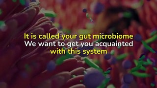 Best Probiotic Supplement For Autoimmune Disease | Best Supplements For Autoimmune Disease