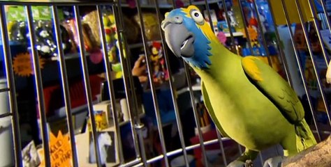Creature Comforts Creature Comforts American Version 2007 E005 Communication / Feeding Time / Parrot Tongue Twister