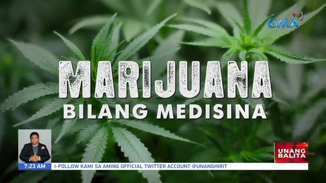 Cannahopefuls Inc., isinusulong na gawing legal ang paggamit ng marijuana bilang gamot | UB