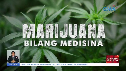 Cannahopefuls Inc., isinusulong na gawing legal ang paggamit ng marijuana bilang gamot | UB
