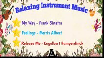 Relaxing Instrument Music