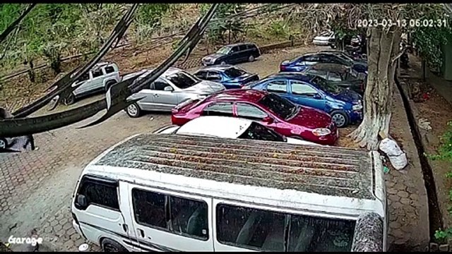 Captan a sujeto robando espejos de retrovisores en colonia de Tegucigalpa