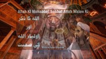 Allah Ki Mohabbat Sohbat Allah Walon Ki - Auliya Allah Ki Shan by Molana Ilyas Ghuan Bayan