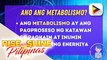 SAY NI DOK | Alamin ano ang Metabolism?