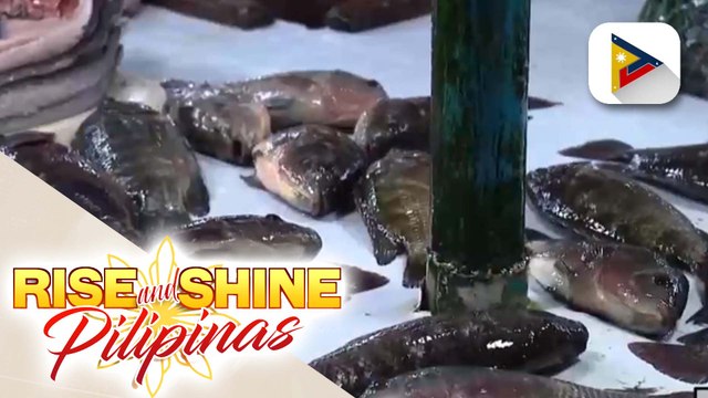 BFAR, nakabantay sa supply at presyo ng isda dahil sa mataas na demand ngayong Kuwaresma
