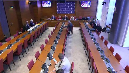 Révélations des Uber File : Audition de représentants de la Cour de cassation ; M. Nicolas Musikas, DG France des plateformes GETIR, GORILLAS et FRICHTI - Mercredi 15 mars 2023