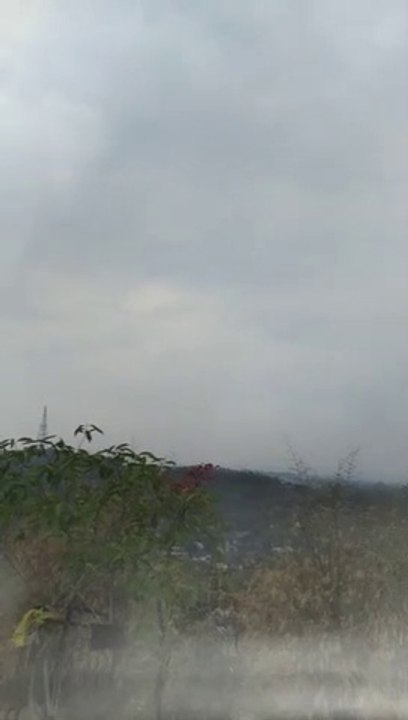 early morning early morning have a good day full of happiness