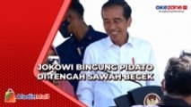 Momen Seru Jokowi Becek-Becekan saat Bagikan Sertifikat di Tengah Sawah