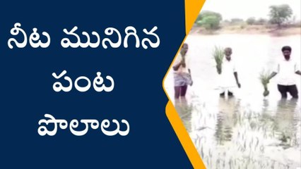 యాదాద్రి : సీఎం దత్తత గ్రామంలో రైతన్నల కన్నీరు