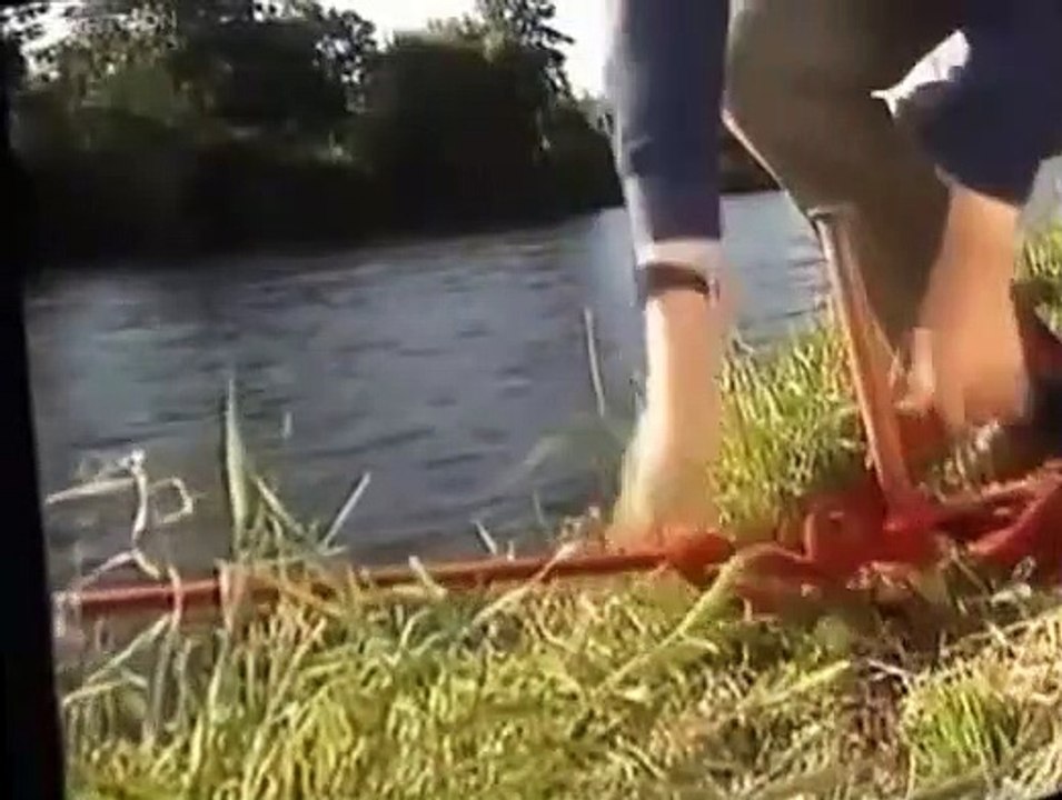 Rosie and Jim Rosie and Jim S01 E025 Finding the Way