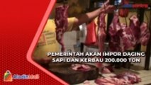 Pemerintah akan Impor Daging Sapi dan Kerbau 200.000 Ton