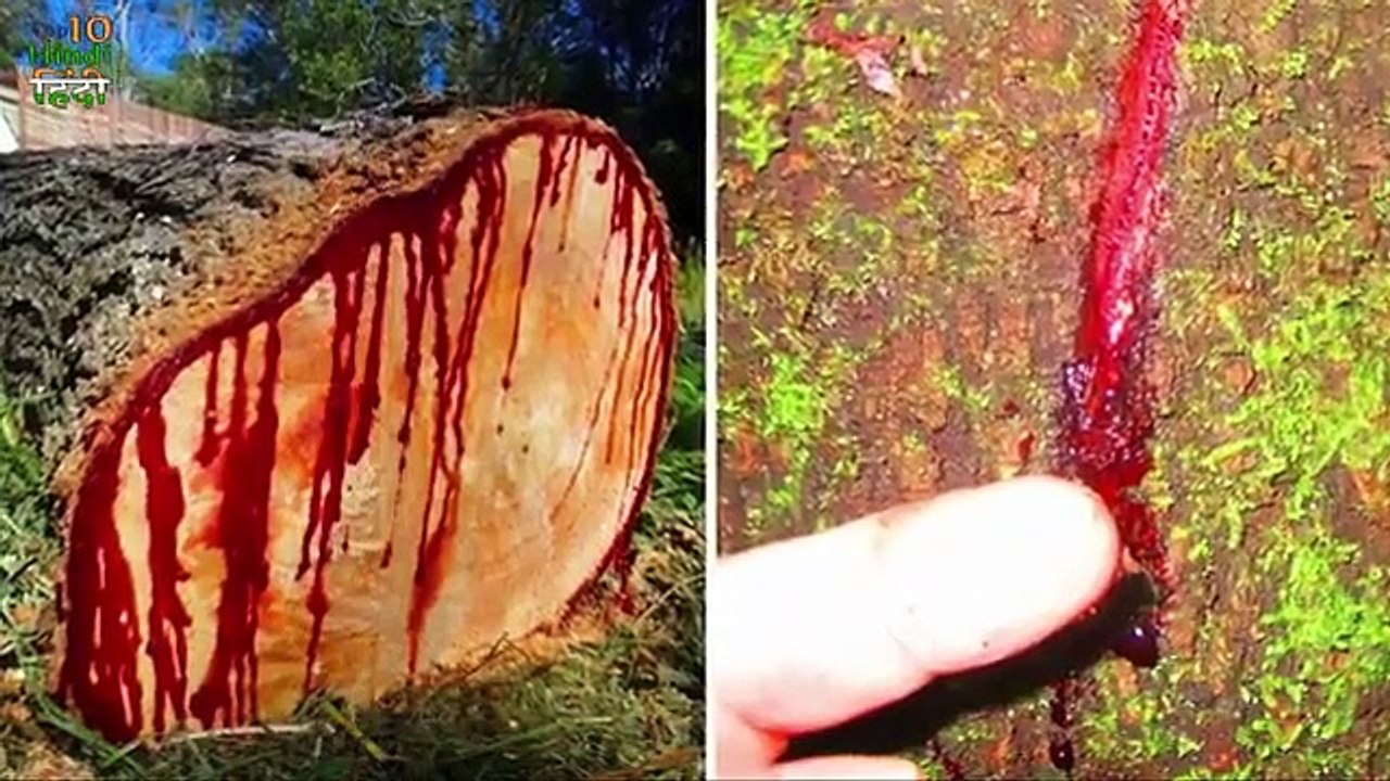 10 स्थान जो वास्तविक नहीं लगते हैं _ Mysterious Places on Earth