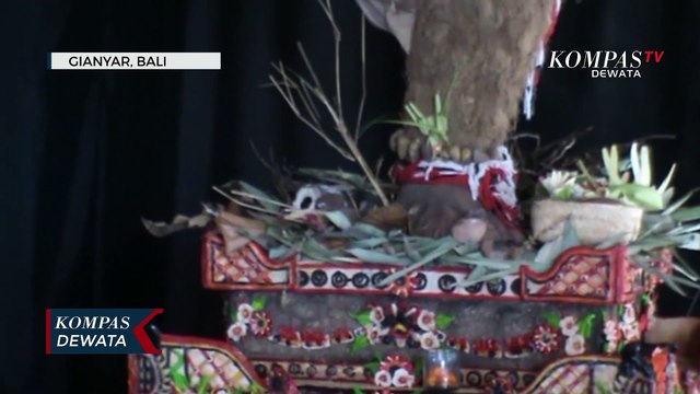 Manfaatkan Akar Bawang Untuk Ogoh - Ogoh Ramah Lingkungan