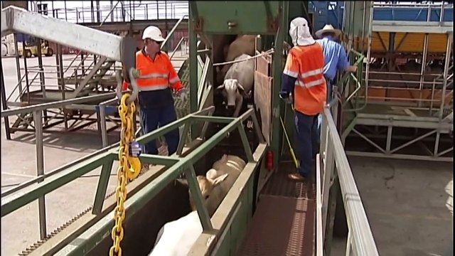 Farmers accusing Government of delaying paying compensation