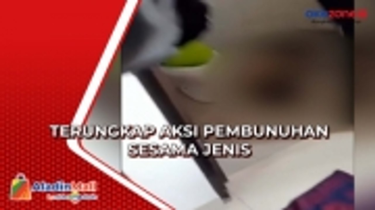 Sempat Disangka Bunuh Diri Aksi Pembunuhan Sesama Jenis di Cianjur Terungkap, Ini Motif Pelaku