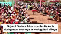 Gujarat: Various Tribal couples tie knots during mass marriage in Nadagdhari Village