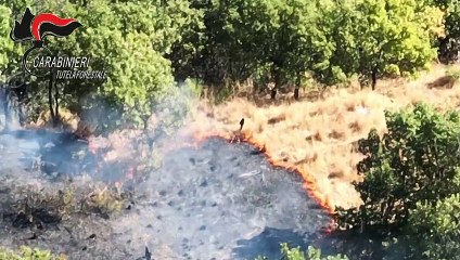 A Catanzaro prevenzione incendi anche d'inverno