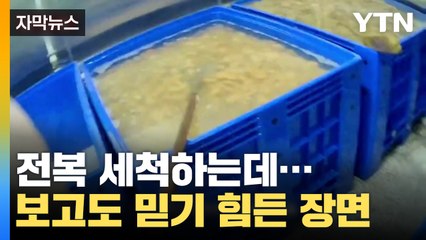 [자막뉴스] 전복 세척 영상 봤더니...'의식 불명 유발' 살균제 떡하니? / YTN