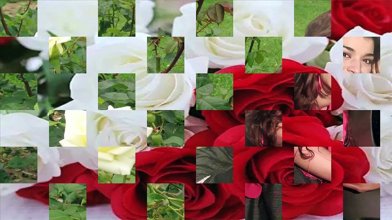 GABRIELA -  Como una rosa