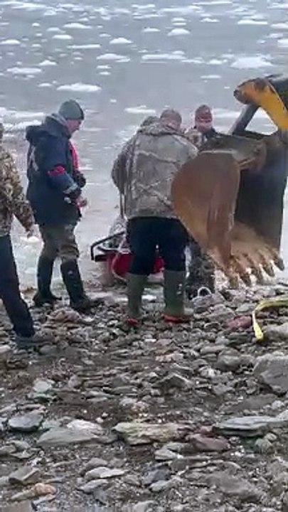 DFO Workers Help Dolphins Stuck in Ice