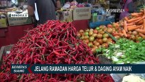 Jelang Ramadan, Harga Telur dan Daging Ayam di Bengkulu Naik