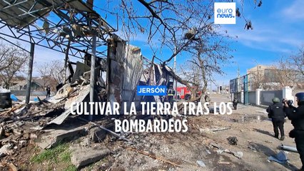 Los agricultores de Jersón miran al futuro | Desminar campos y sembrar cereales tras la batalla