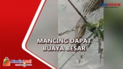 Heboh! Macing di Sungai, Warga Lumajang Dapat Buaya Ukuran 2 Meter