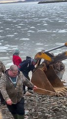 DFO Workers Help Dolphins Stuck in Ice