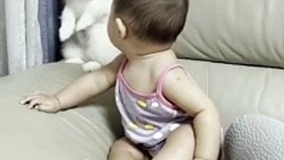 Cute Dog and Cute baby Video.  Dog and cute baby cute moments