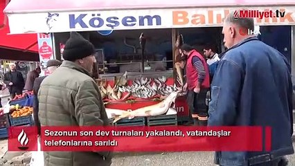 Sezonun son dev turnaları yakalandı, vatandaşlar telefonlarına sarıldı