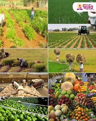 गुढीपाडव्याला "हे" नक्की ऐका, वर्षभर लाभ होईल!