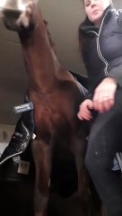 Girl Plays Defense to Moody Mare Trying to Bite