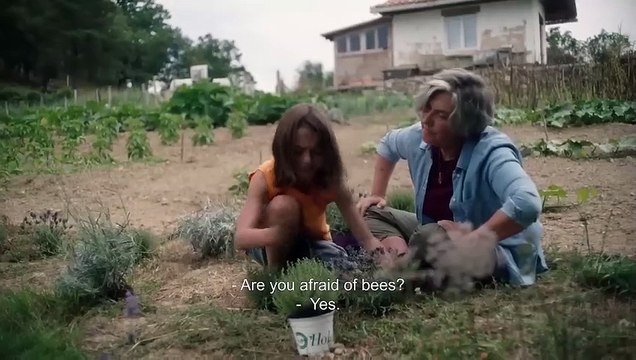 20.000 especies de abejas Fragman