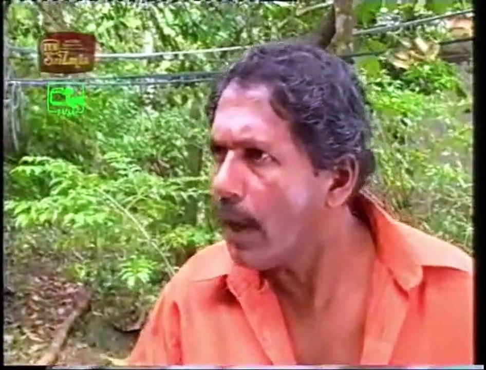 කෝපි කඩෙි කතාංග මාලාවෙන්....Kopi Kade