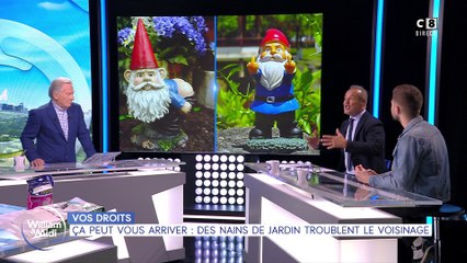 Vos droits: Ça peut vous arriver: Des nains de jardin troublent le voisinage !