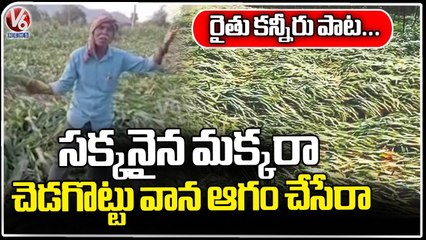 Farmer Sings Emotional Song On Crop Damage Due To Rains | Yellandu | V6 News