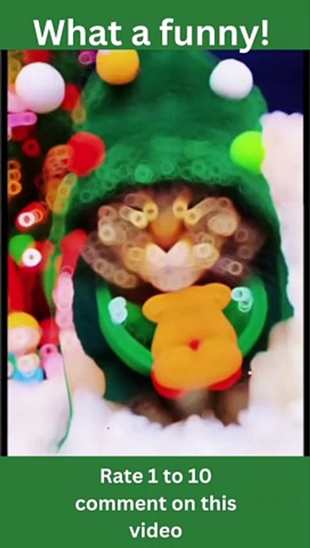 ⁣Laugh Out Loud with these Funny Animal Pets!- funny animal pets