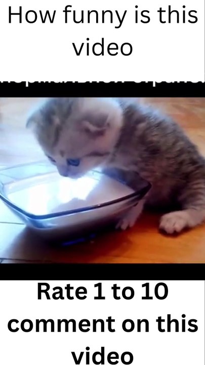 My funny pets taking milk and water- funny pets