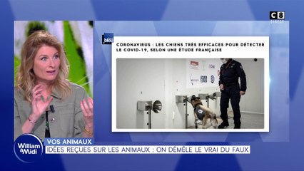 Vos animaux : Idées reçues sur les animaux, on démêle le vrai du faux