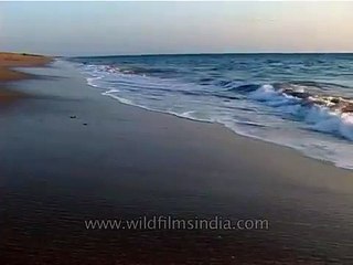 Waves coming into a beach