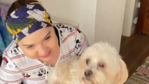 'She is my world!' - Woman with multiple medical conditions reunites with her loyal assistant dog