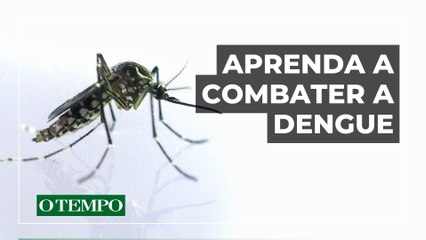 Dengue | Aprenda a eliminar criadouros do mosquito