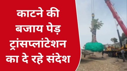 खंडवा : पेड़ की हो रही शिफ्टिंग, पर्यावरण बचाने का संदेश