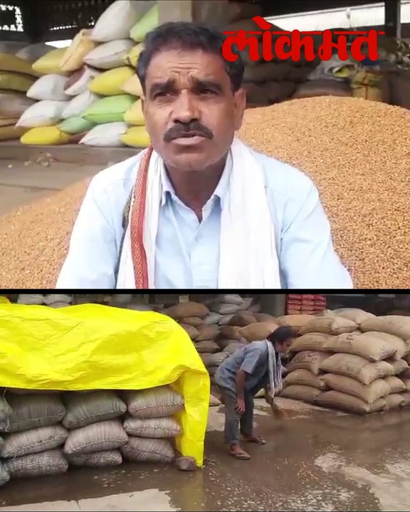 नागपुरात शेतकर्यां समोरच हजारो धानाच्या पीक गेले वाया