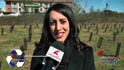 'Le città che respirano' sbarca a Torino, Totaro (Nespresso): "mille alberi per aiutare la comunità"