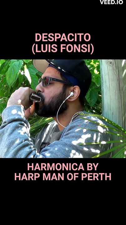 Despacito By Luis Fonsi on harmonica shorts Part 2
