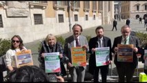 Ponte Stretto, Bonelli: follie di Salvini ci costano 10 miliardi